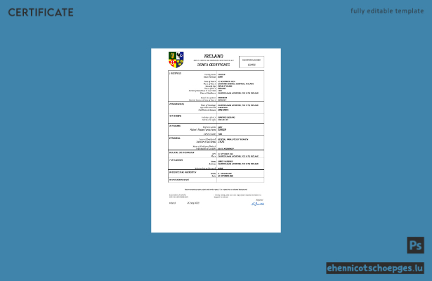 Irische Personenstandsurkunde (Sterbeurkunde) – Beispiel als Word- und PDF-Datei